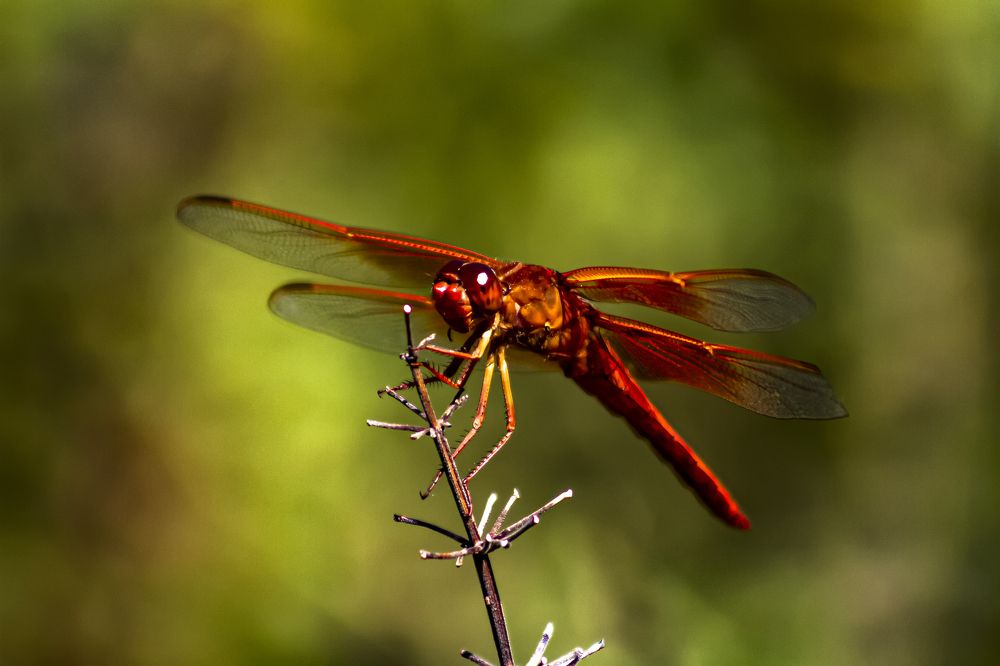 Photograph by Ricardo Sanchez Ruiz