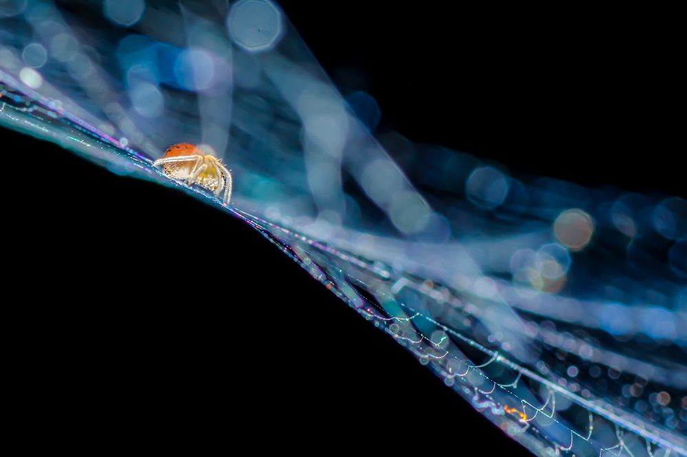 Photograph by AGNISWAR GHOSAL