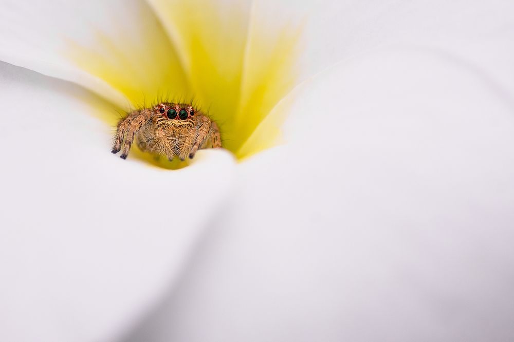 Photograph by AGNISWAR GHOSAL