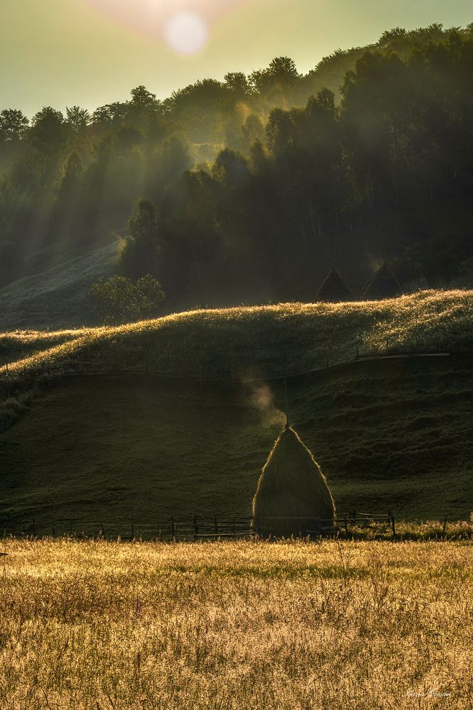 Фотография автора Ioana Crisan