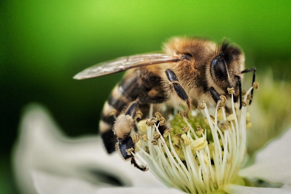 Photograph by Ирина