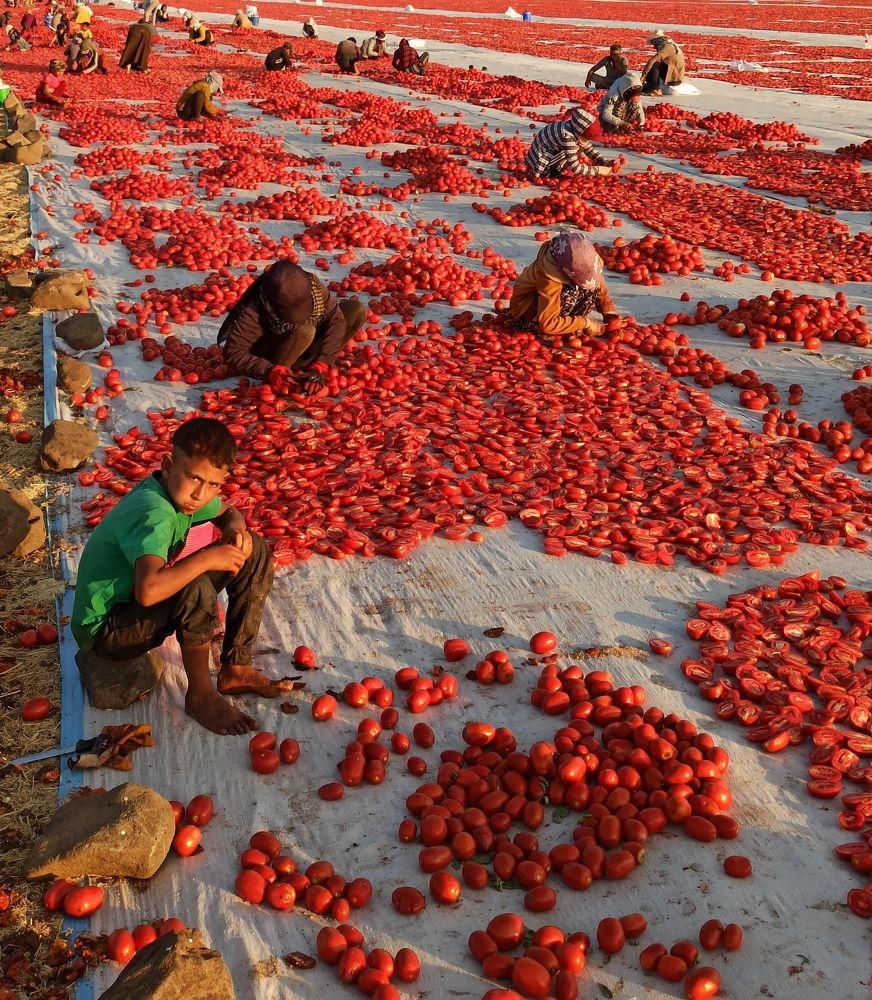 Photograph by Faruk Acar