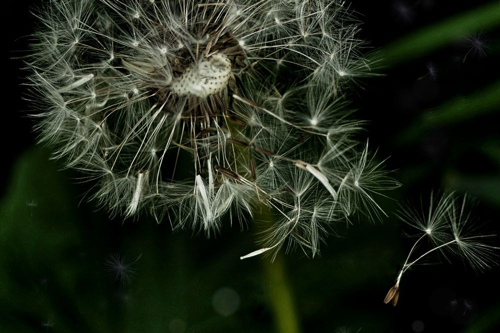 Photograph by Ирина