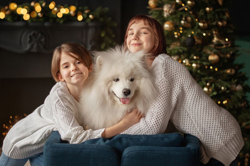 Photograph by Анастасия Триббиани