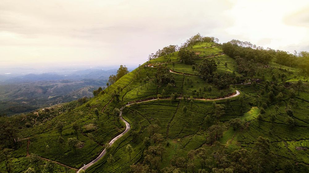 Photograph by Roshan Premathilaka