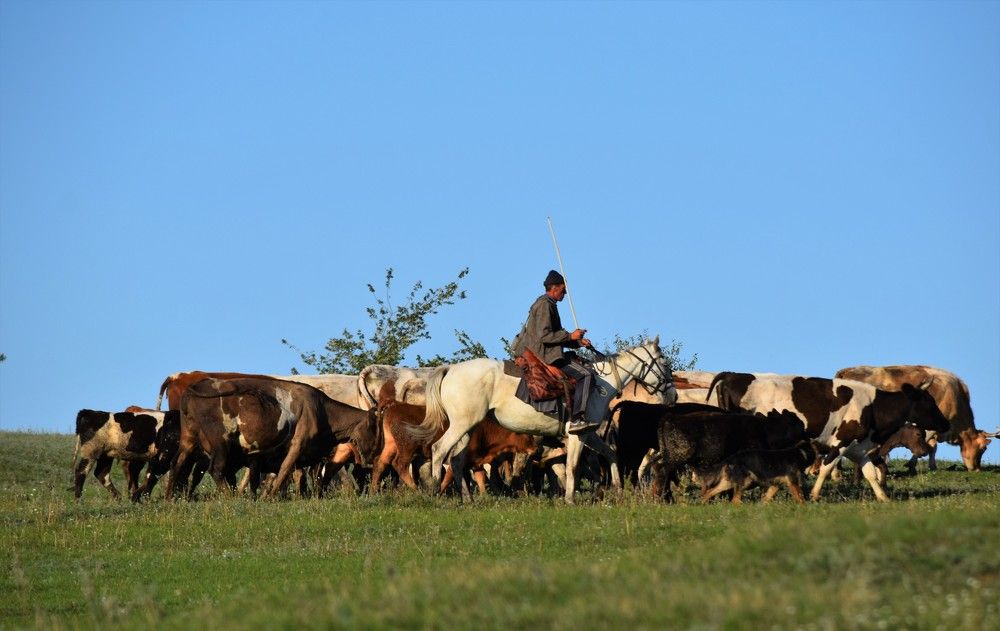 Ох,  нелегкая это работа.With Rusoh, it's not an easy job.