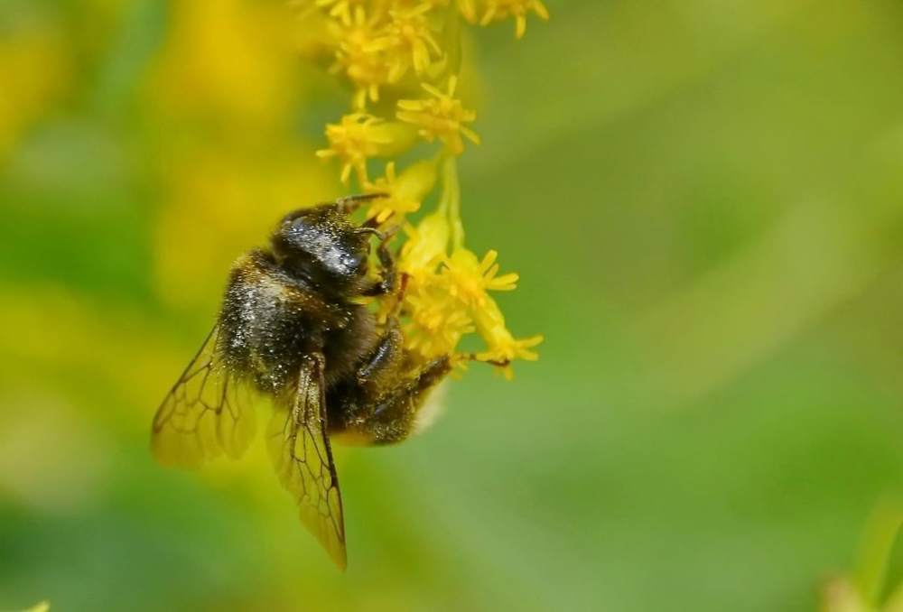 Photograph by Шевченко Алексей
