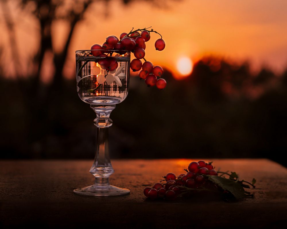 Photograph by Эльвира Курочкина