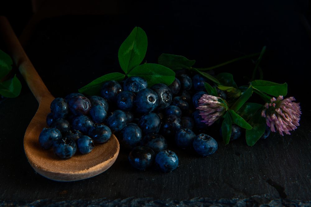 Фотография автора Екатерина Лапаева