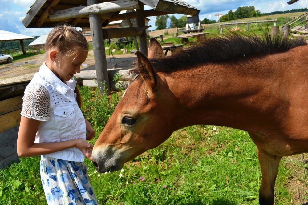 Photograph by victoria denisova