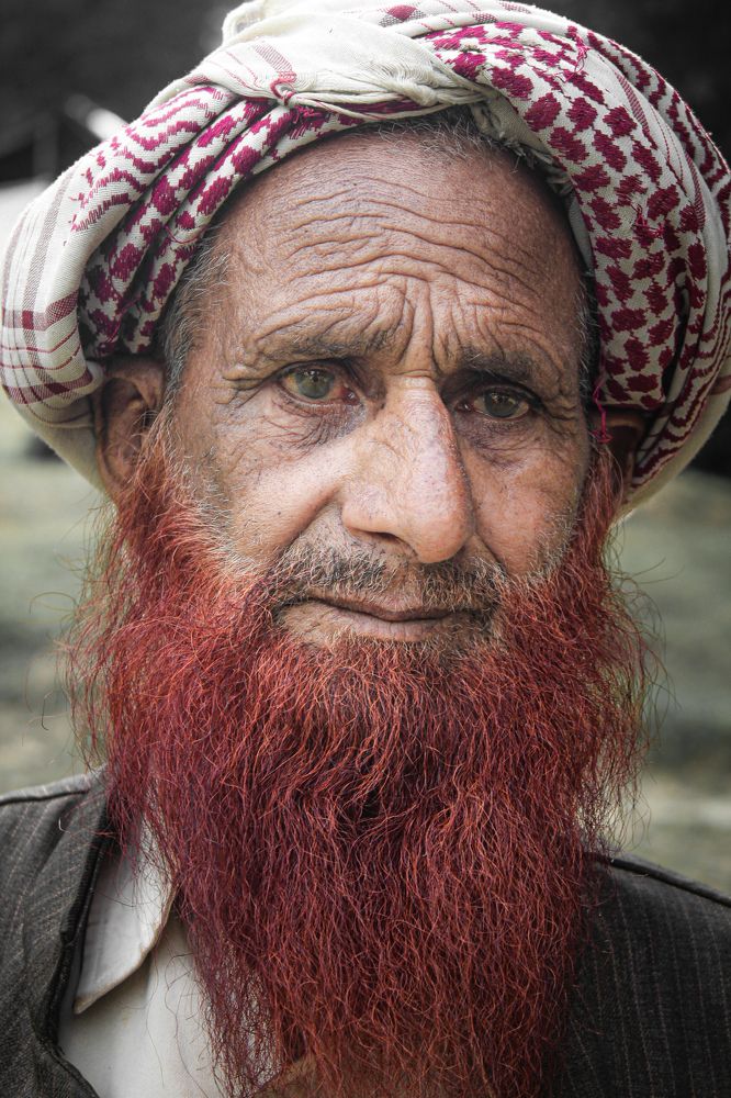 Фотография автора Basit nisar