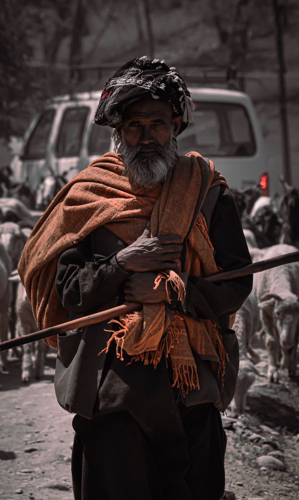 Фотография автора Basit nisar