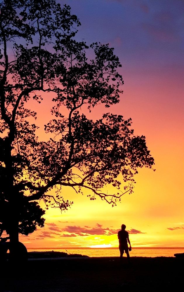 The Sunset