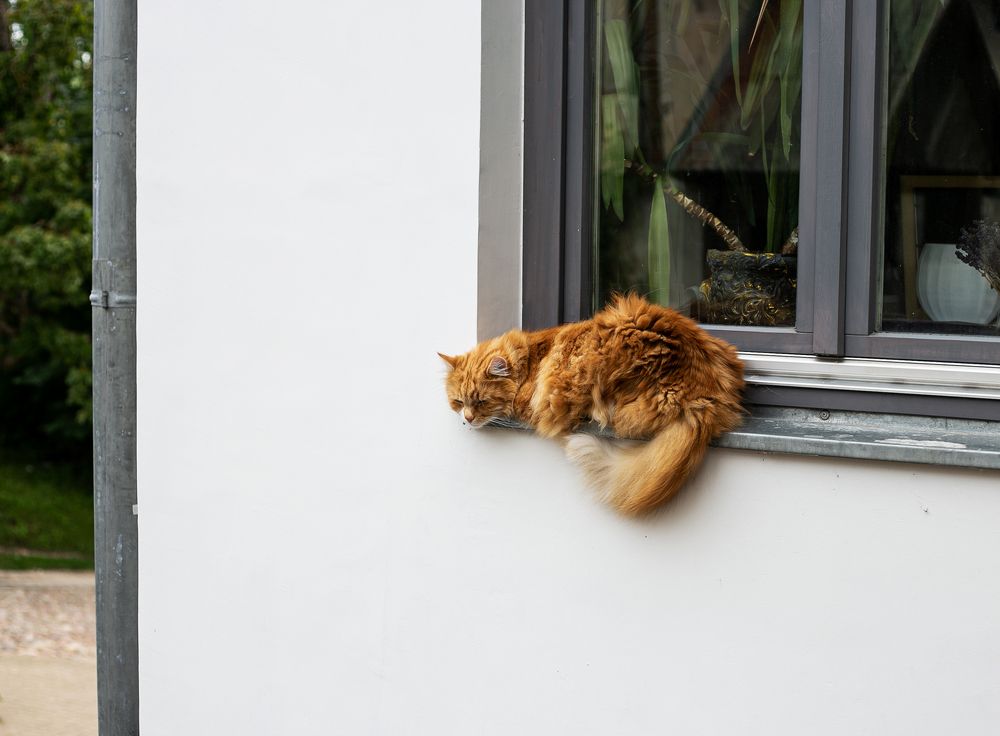 Photograph by ILONA KILA