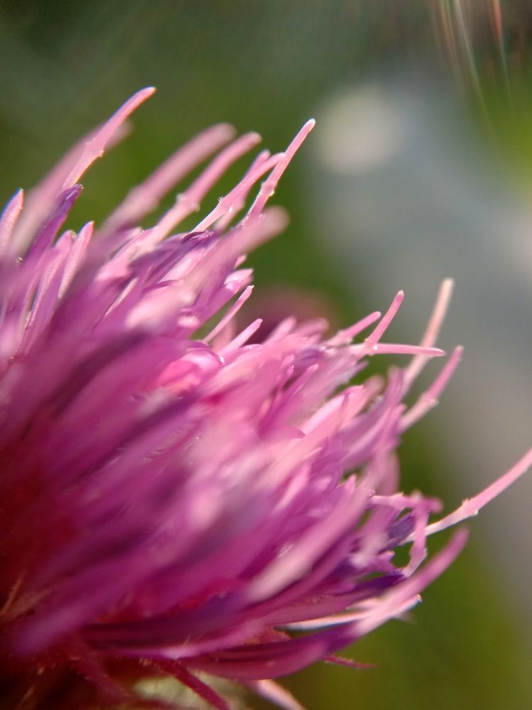 Красота природы.