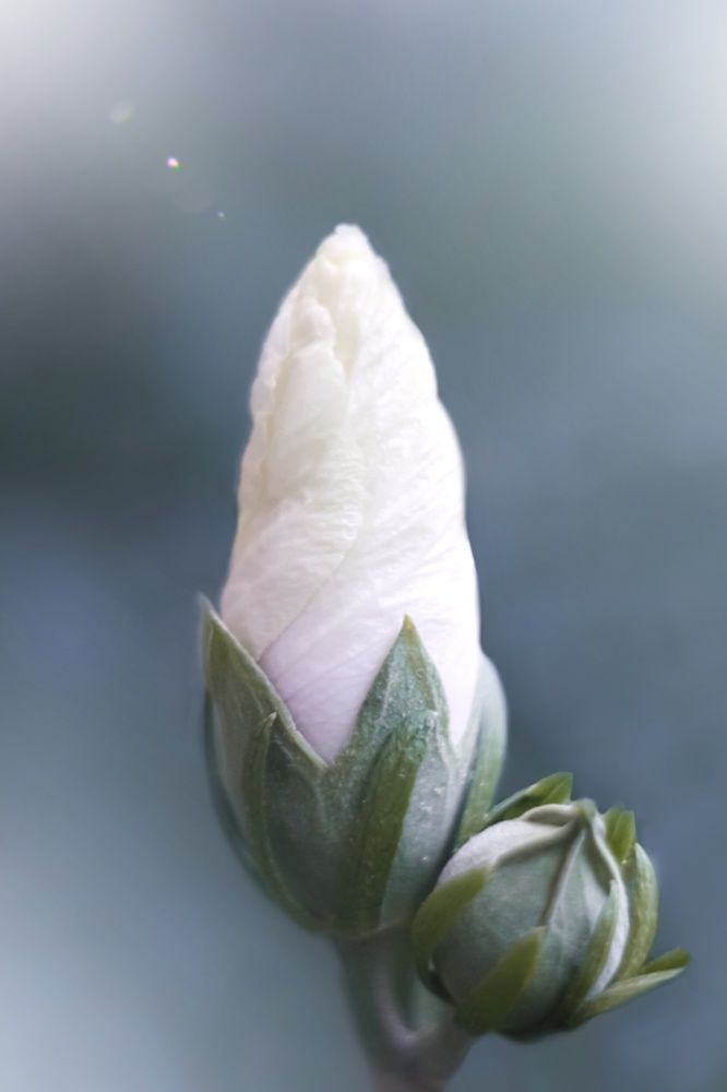 Photograph by Алена Царицына