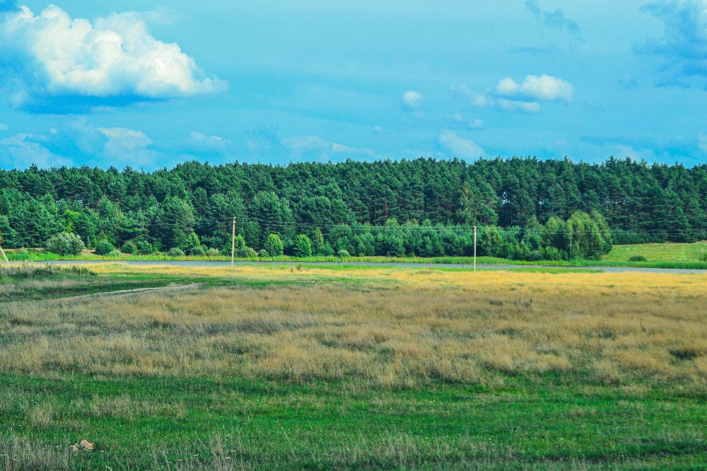Photograph by Ярослав