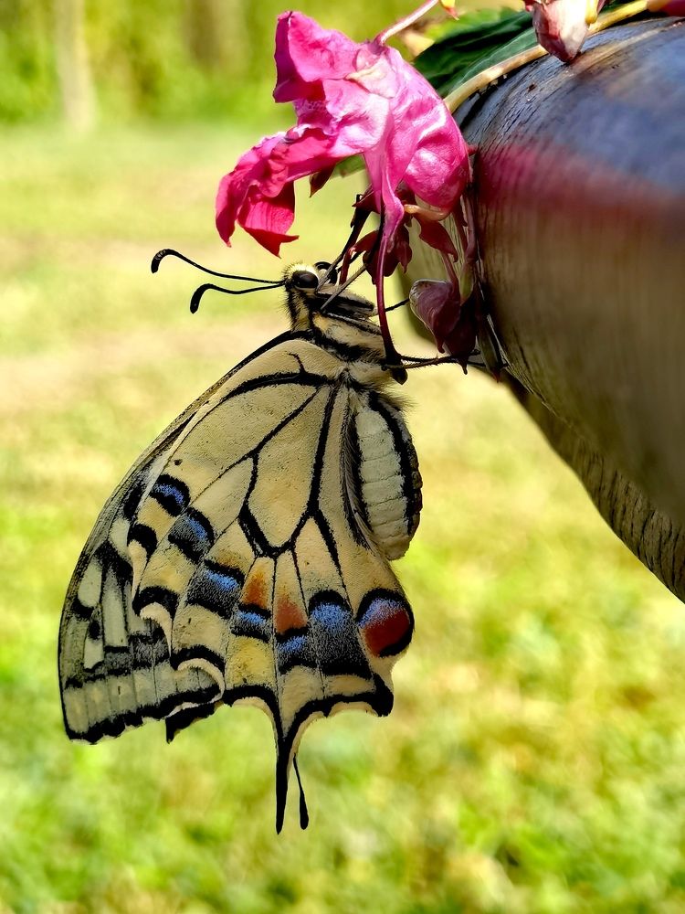 Photograph by Олеся Ивановна Жанько