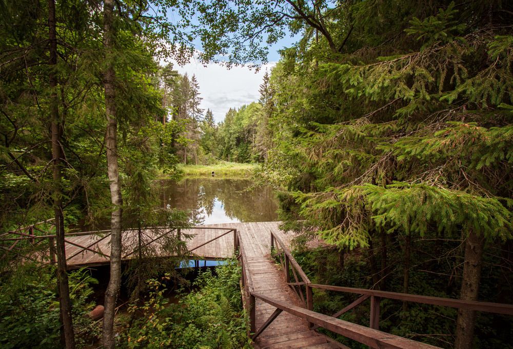 Photograph by Константин Лившиц