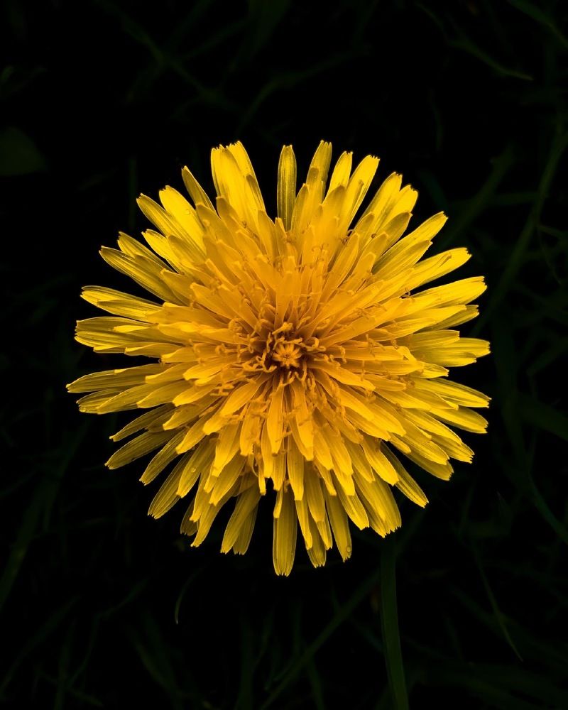 Photograph by Арслан Валаев