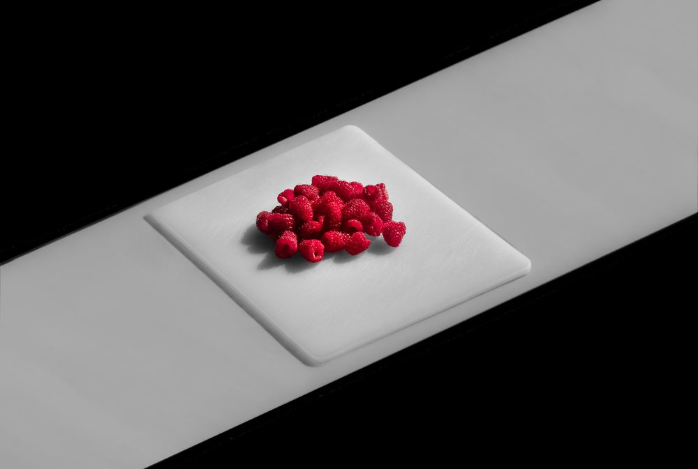 Photograph by Anna Kuzkina