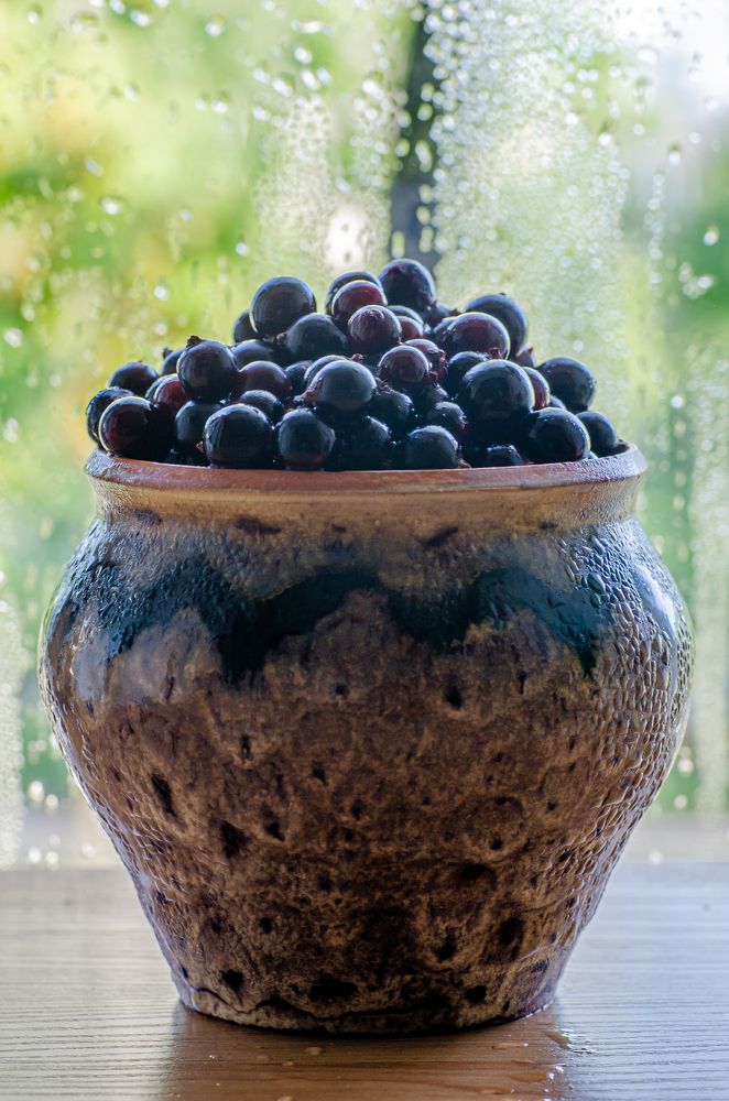 Photograph by Саша Литвин