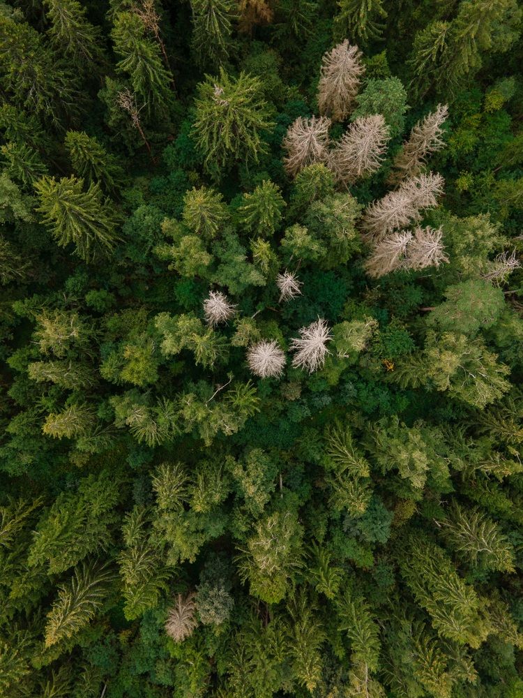 Photograph by Анастасия Юсова