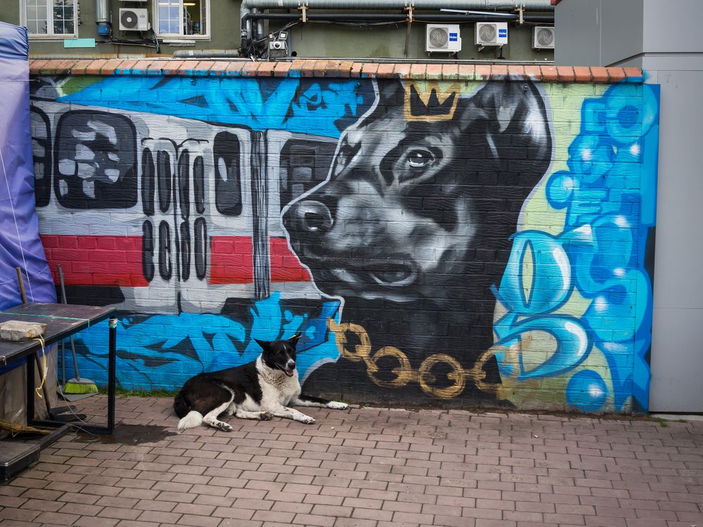 Photograph by Владислав