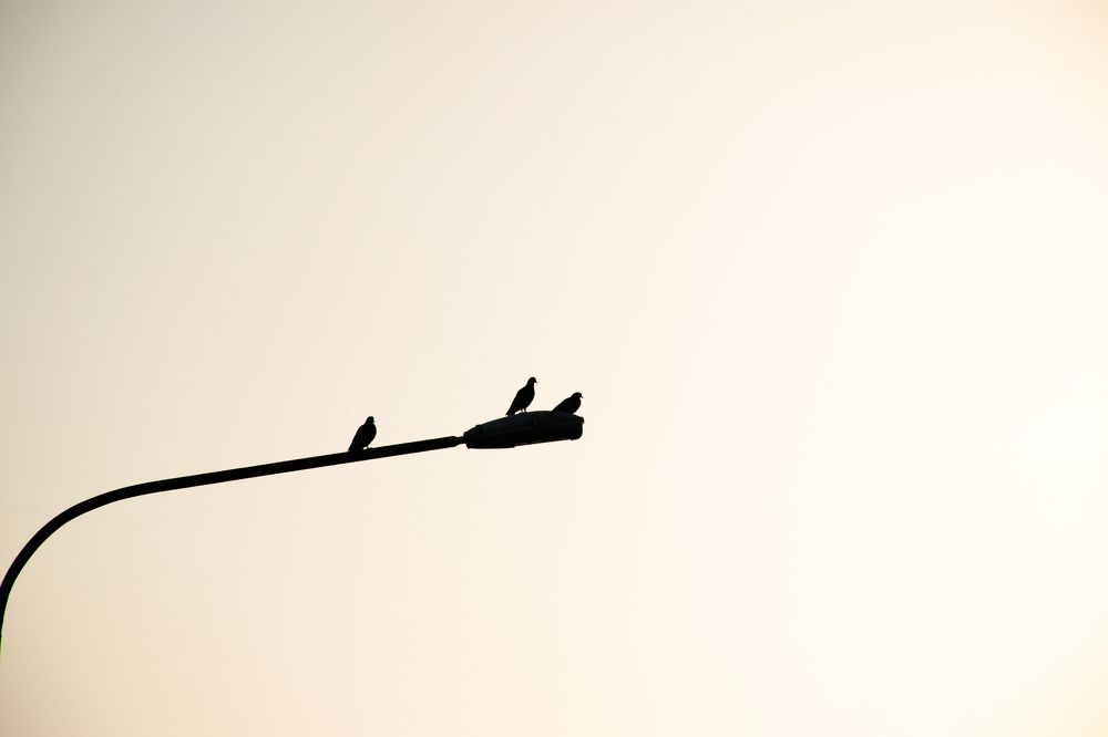 Photograph by Mahyar Kantoori