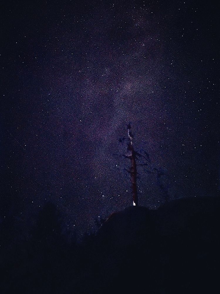 Photograph by Андрей Жуков