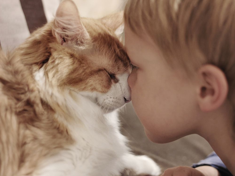 Photograph by Наталья