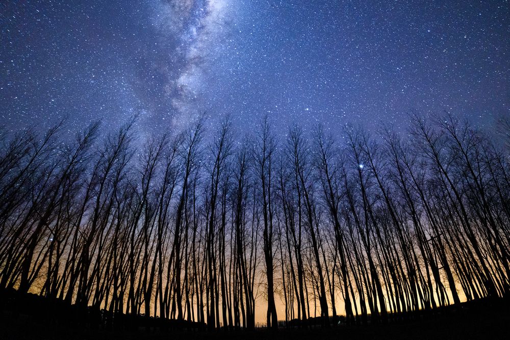 Photograph by Luis Sebastian Jeremías