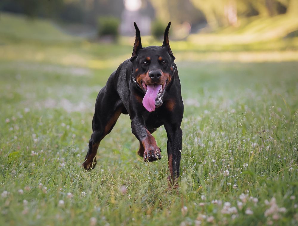 Photograph by Коптилина Галина