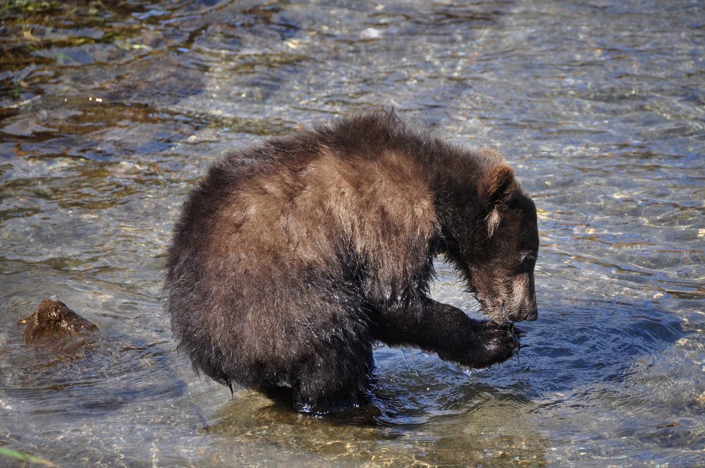 Фотография автора Ольга Белоусова