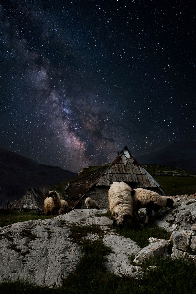 Photograph by Kemal Becirevic