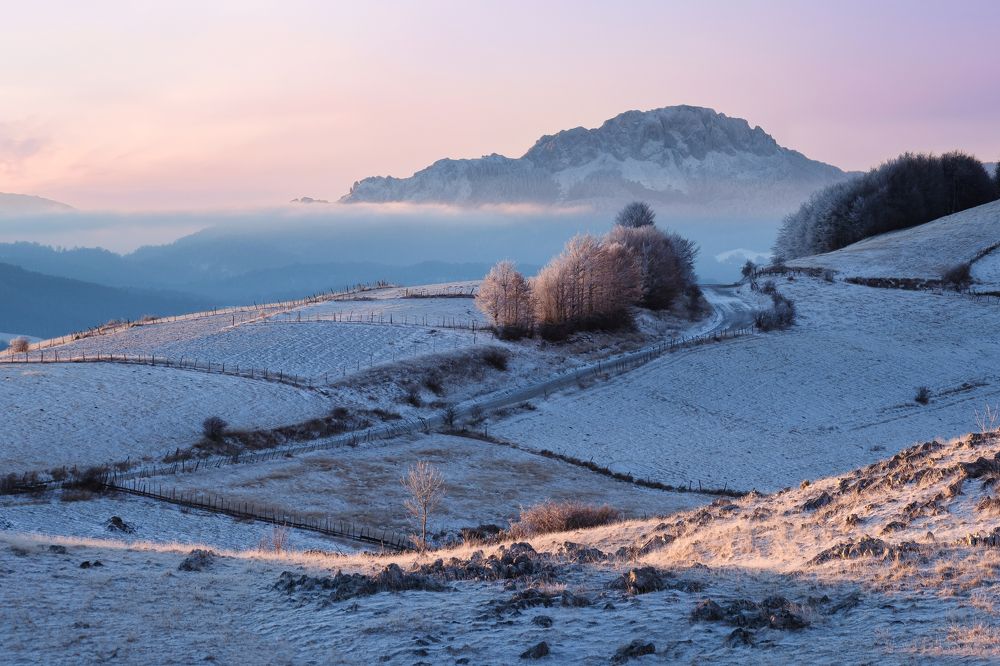 Photograph by Kemal Becirevic