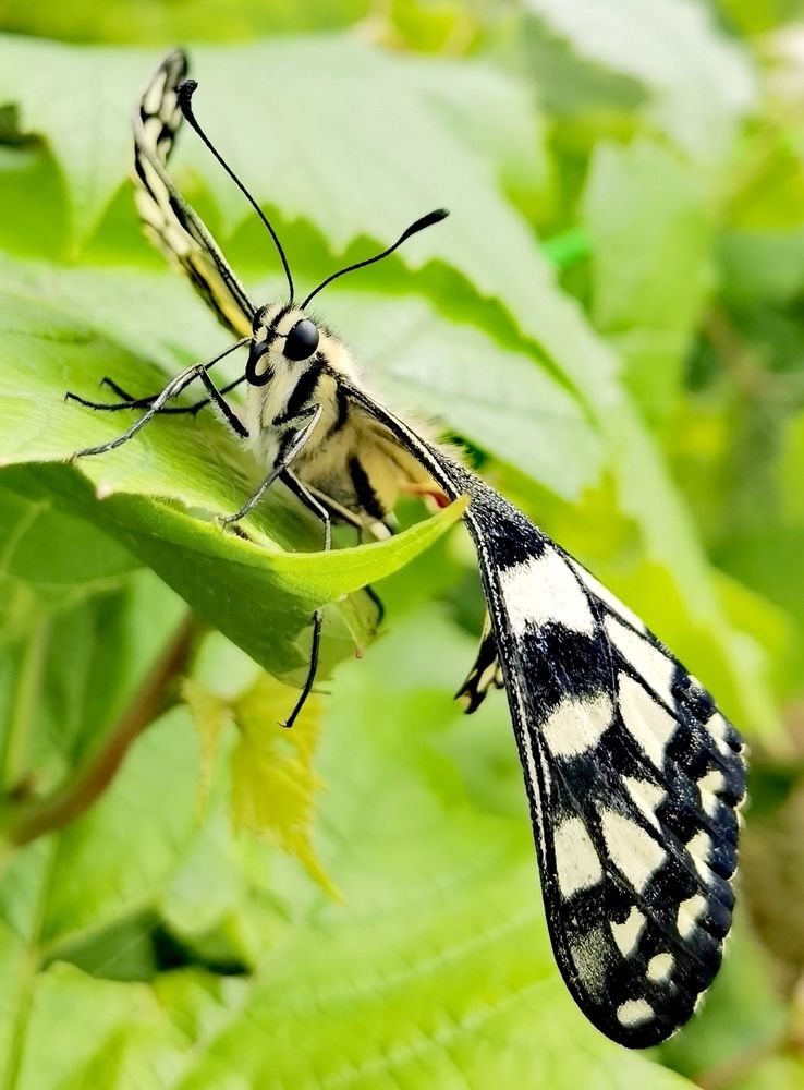 Photograph by Олеся Ивановна Жанько