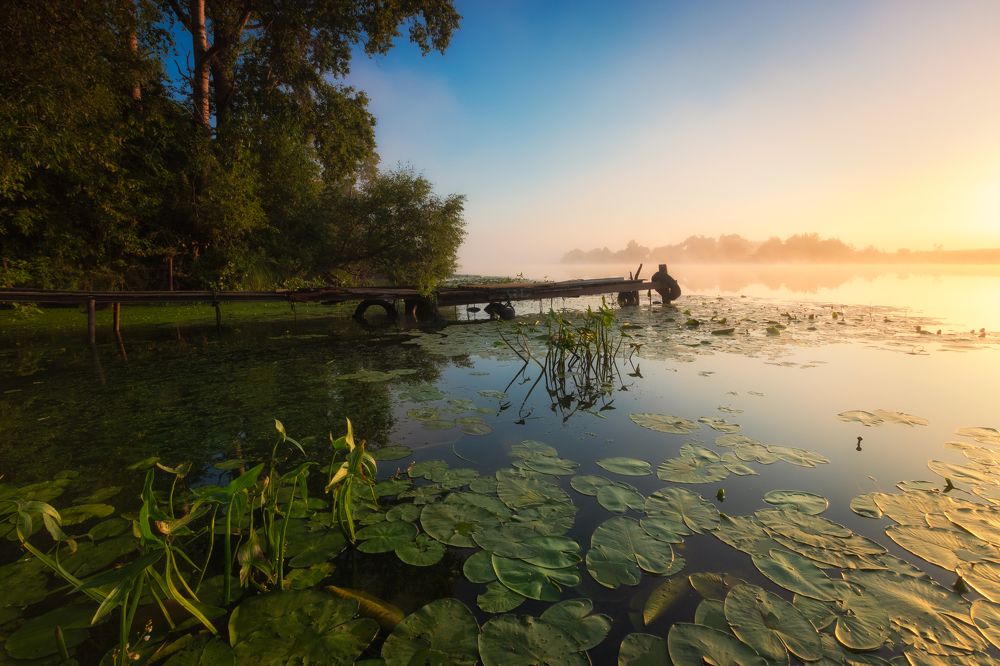 Photograph by Андрей Олонцев