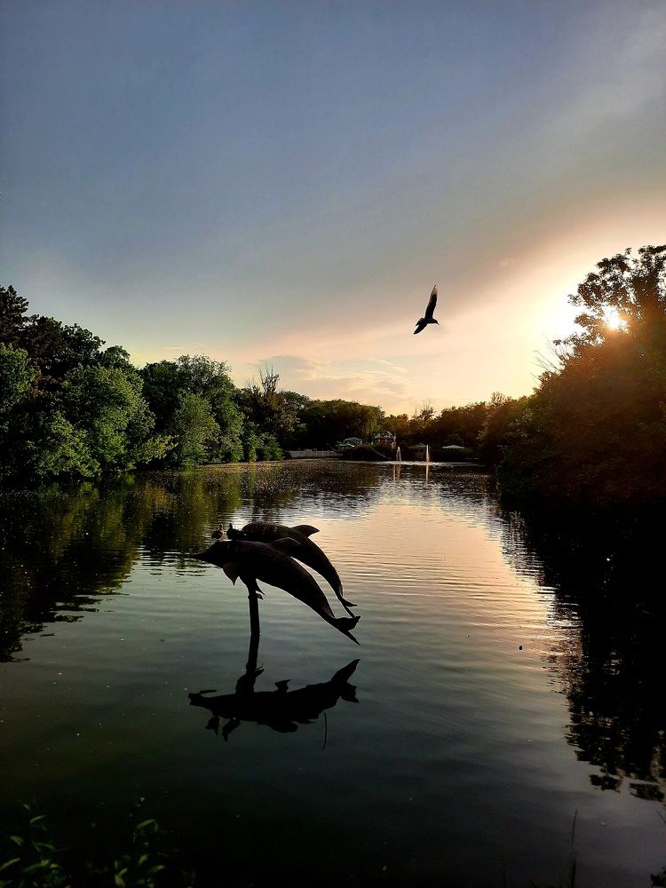 Источник жизни