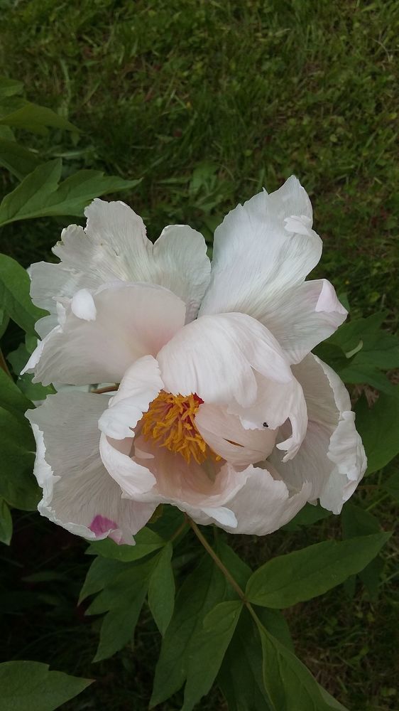 Photograph by Elena Morozova