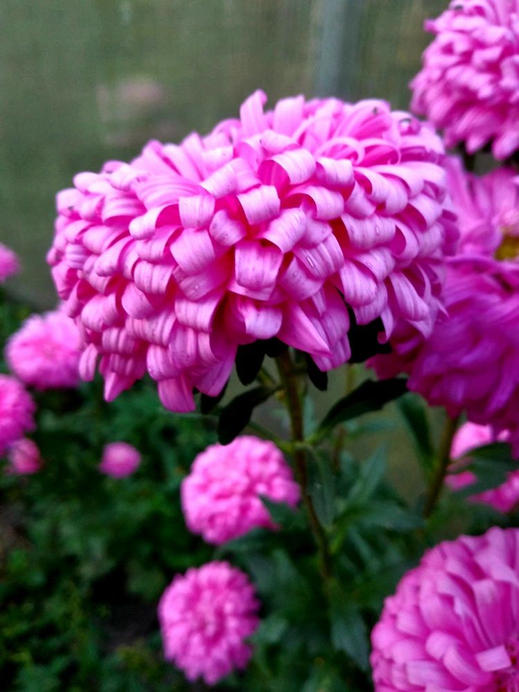 Photograph by Екатерина Лакутина