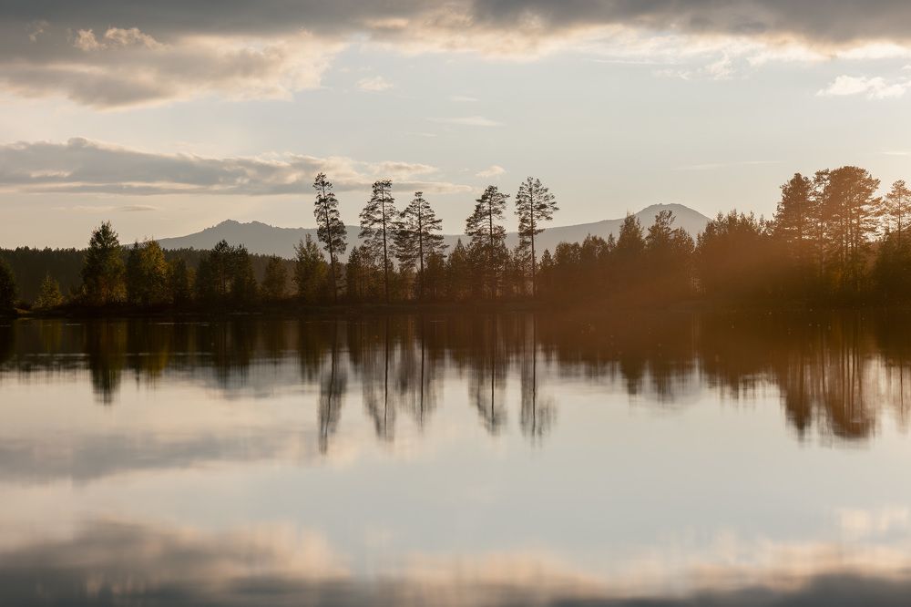 Фотография автора Алексей Крючков