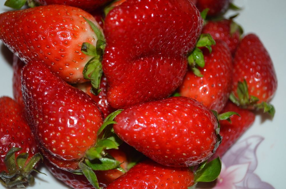 Photograph by Suzana Cakciri