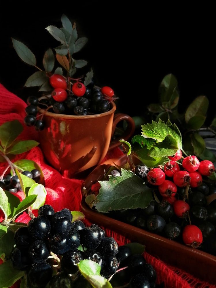 Photograph by Ольга Тимофеева