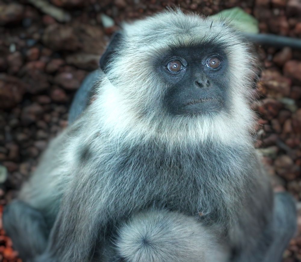 Фотография автора Venkatesh Rao