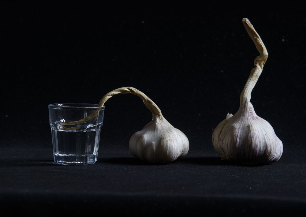 Пьющий чеснок и его жена