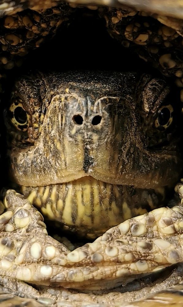 Photograph by Елена Артёменко