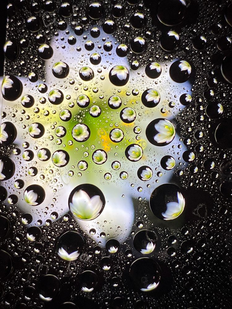 Photograph by Евгения Ильчук