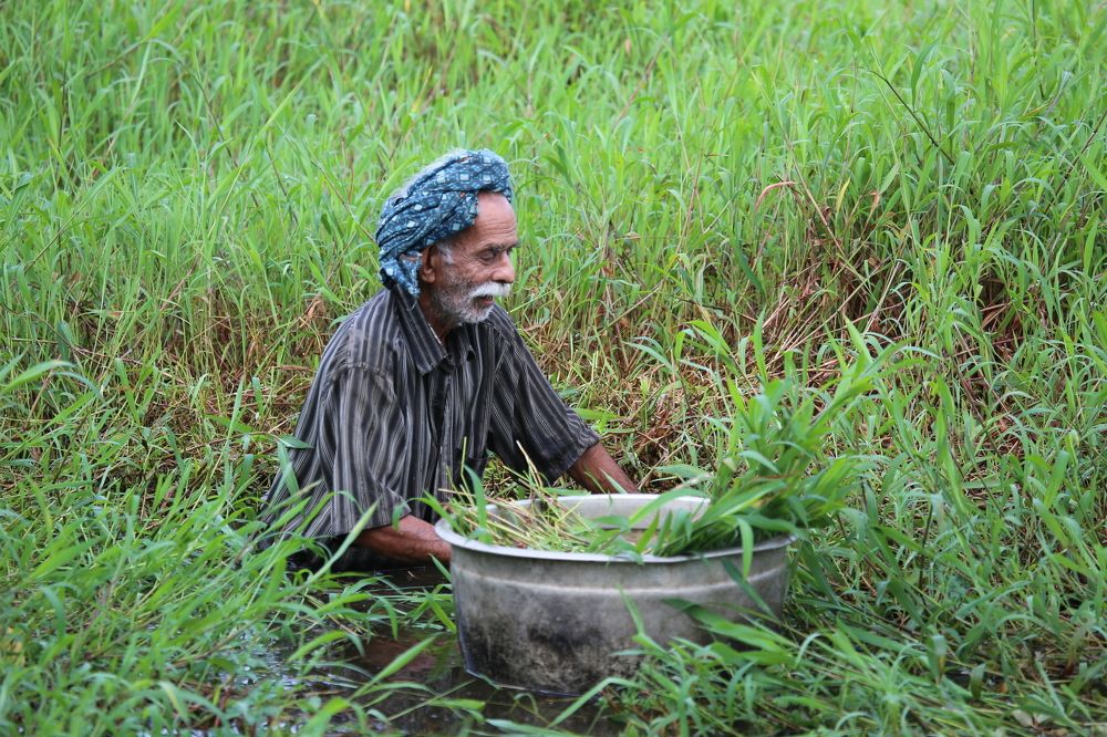 Photograph by Febin Francis