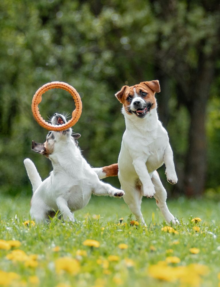 Photograph by Коптилина Галина